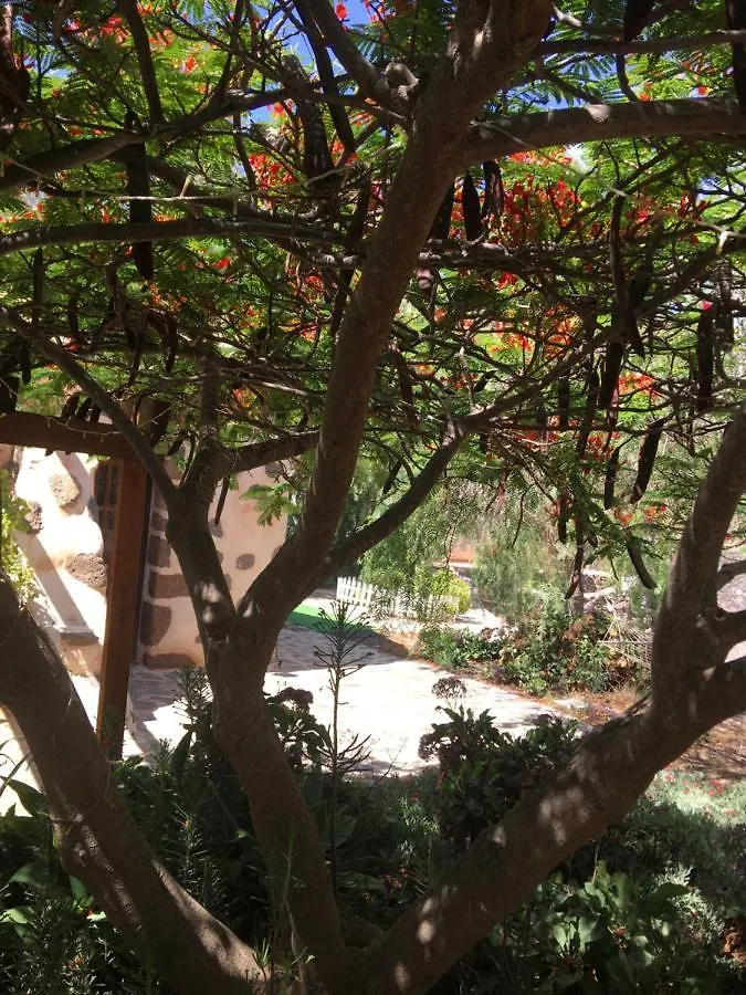 Vereda De Las Camellas Hotel Puerto del Rosario  Spain